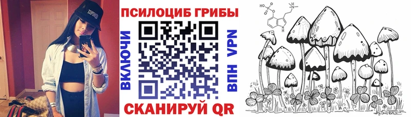 Псилоцибиновые грибы MAGIC MUSHROOMS  mega вход  Зима 